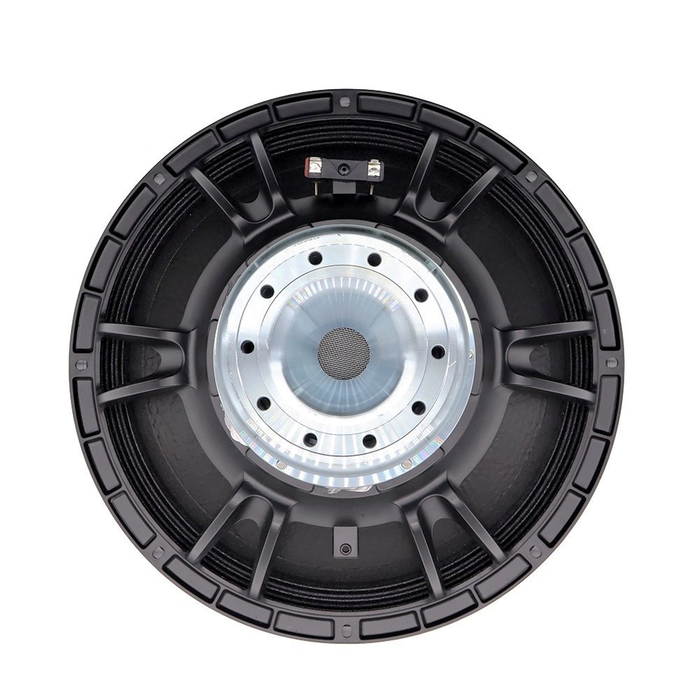 Subwoofer al Neodimio da 15''  - Speakers recensione e prezzo